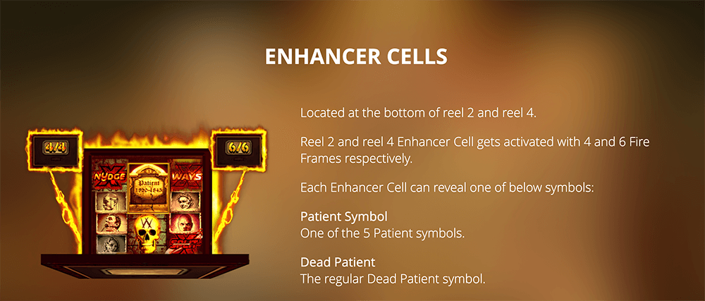 Enhancer Cells